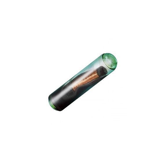 Čip Silca T48 meg/cr